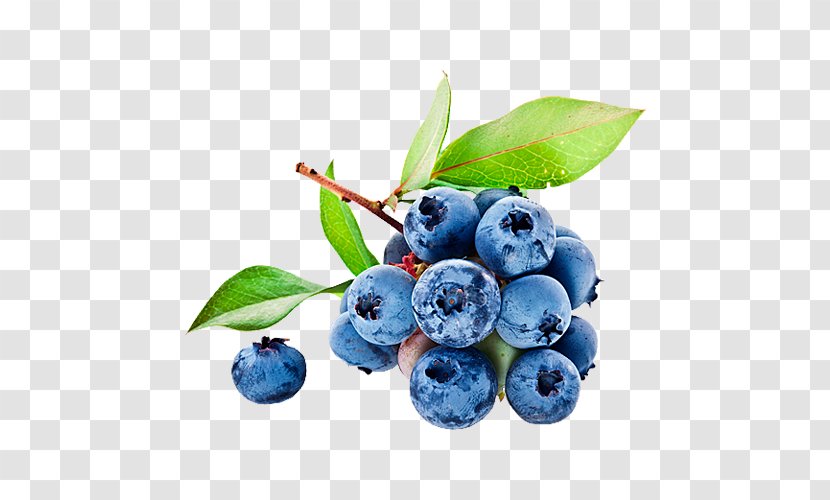 Juice Blueberry Bilberry Food Flavor - Cranberry Transparent PNG