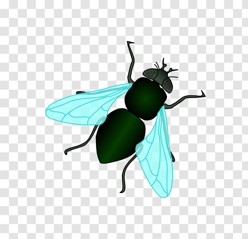 Housefly Clip Art - Invertebrate - Cartoon Fly Pictures Transparent PNG