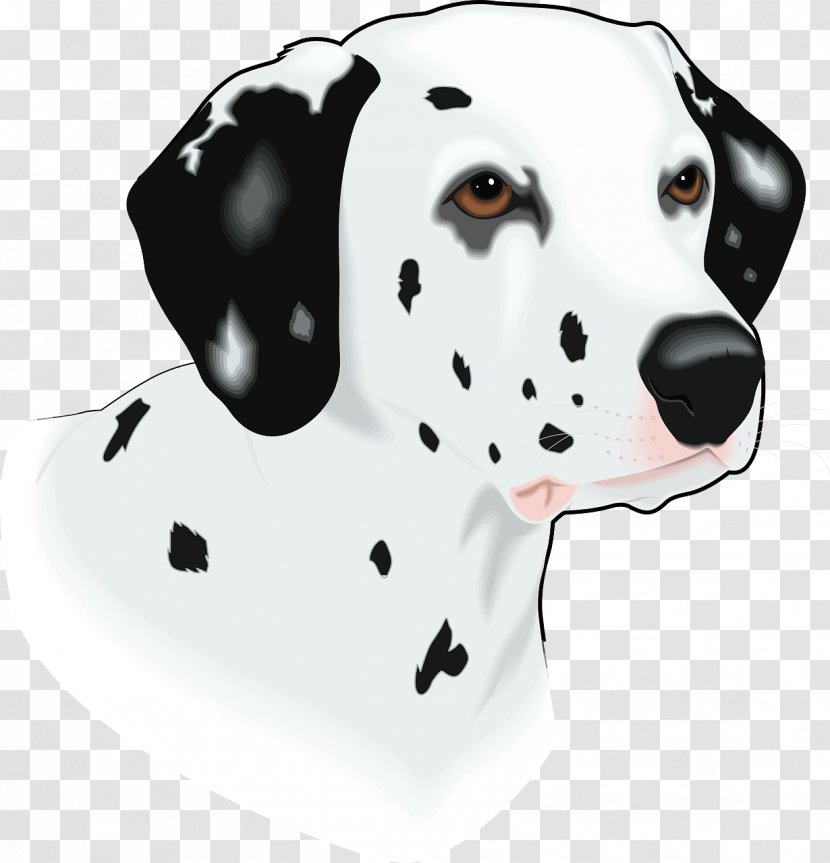 Dalmatian Dog Puppy Clip Art - Breed Transparent PNG
