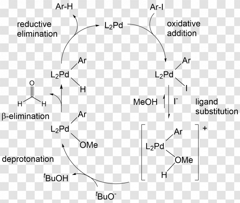 Aryl Halide Chemical Bond Dehalogenation - Thumbnail - Area Transparent PNG