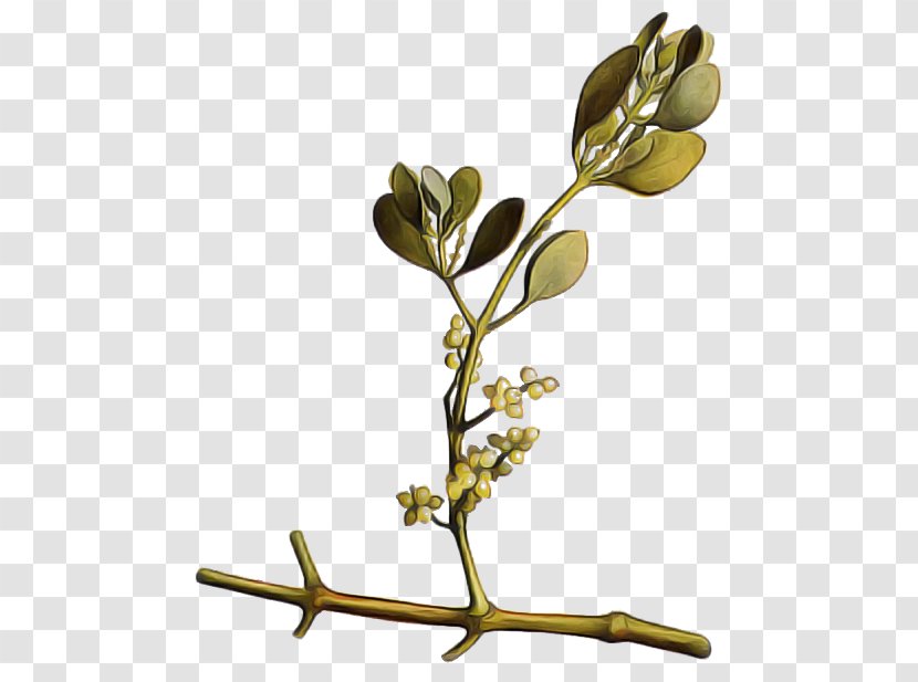 Branch Flower Plant Twig Leaf - Bud Tree Transparent PNG