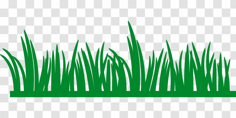 Lawn Clip Art - Wheatgrass - Streetlight Transparent PNG