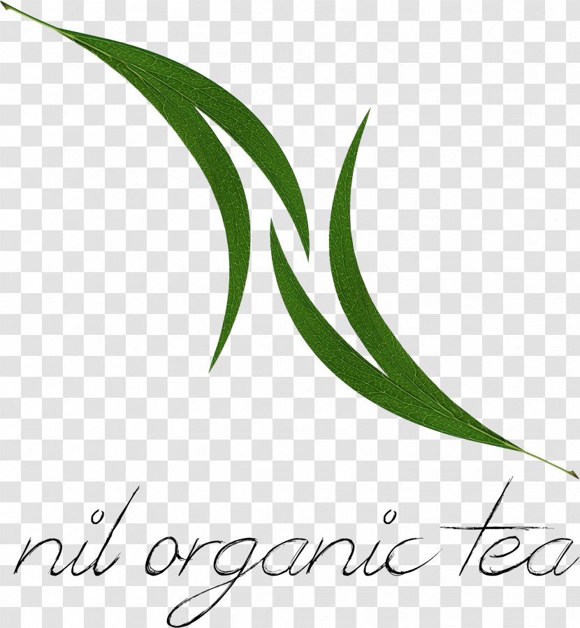 Tea Blending And Additives Oolong Masala Chai Rooibos - Grass Transparent PNG