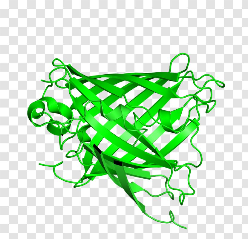 Leaf Line Art Green Clip - Area - Fluorescent Transparent PNG