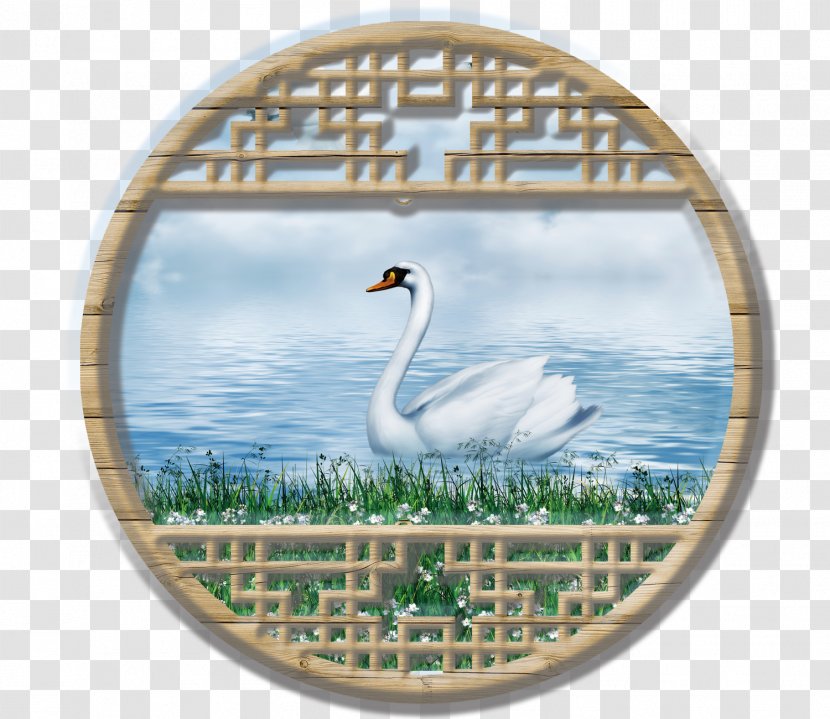 Cygnini Download - Crane Like Bird - Water Swan Transparent PNG