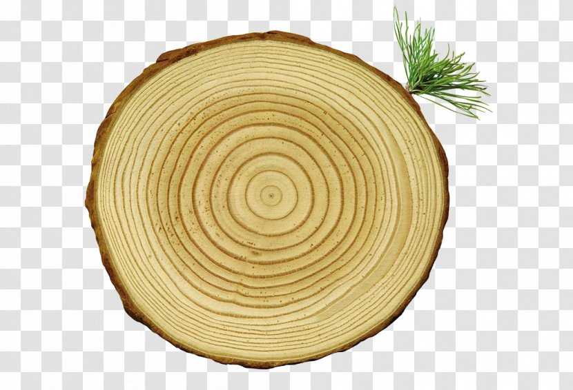 Wood Tree Stump Horse - Dishware - Stakes Transparent PNG