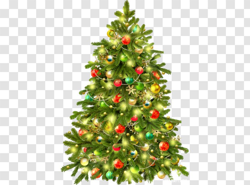 Christmas Tree Ornament Clip Art - Spruce Transparent PNG