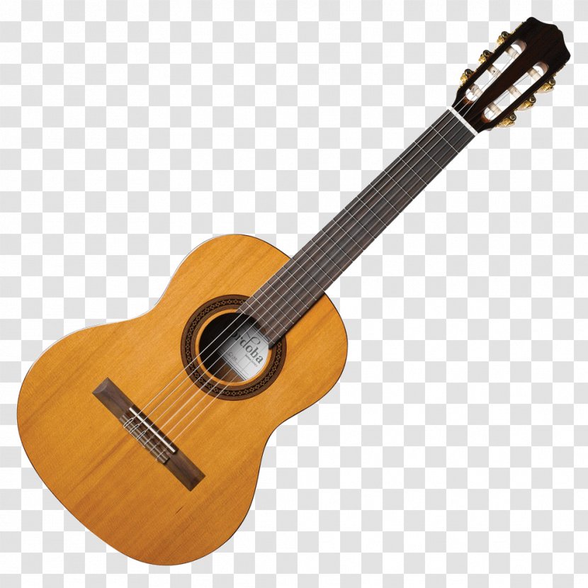 Classical Guitar Acoustic Musical Instruments Cutaway - Flower Transparent PNG