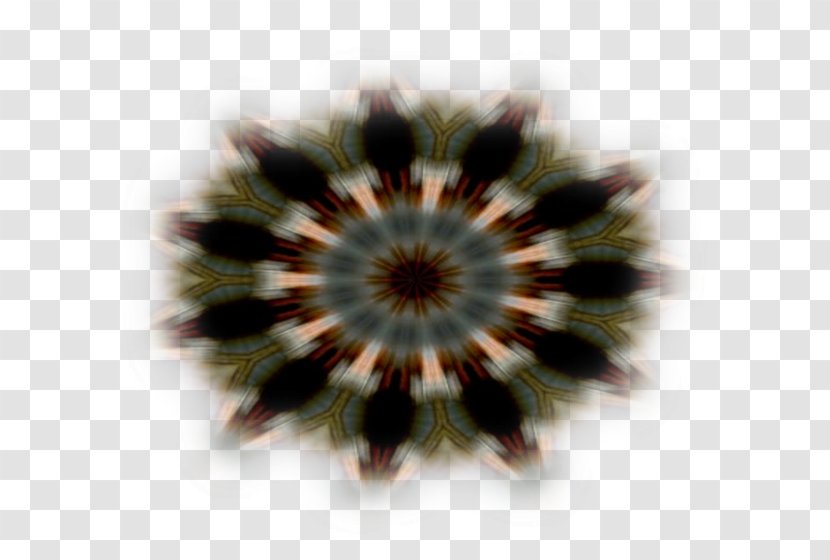 Symmetry Circle Brown Pattern Transparent PNG