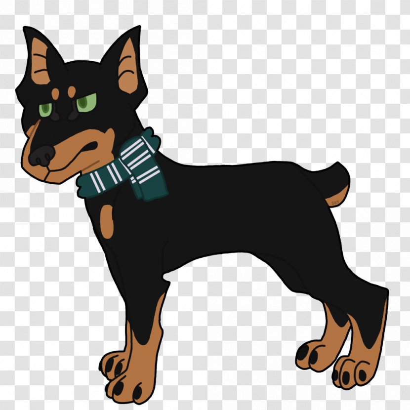 Ormskirk Terrier Miniature Pinscher Australian Kelpie Puppy Guard Dog Transparent PNG