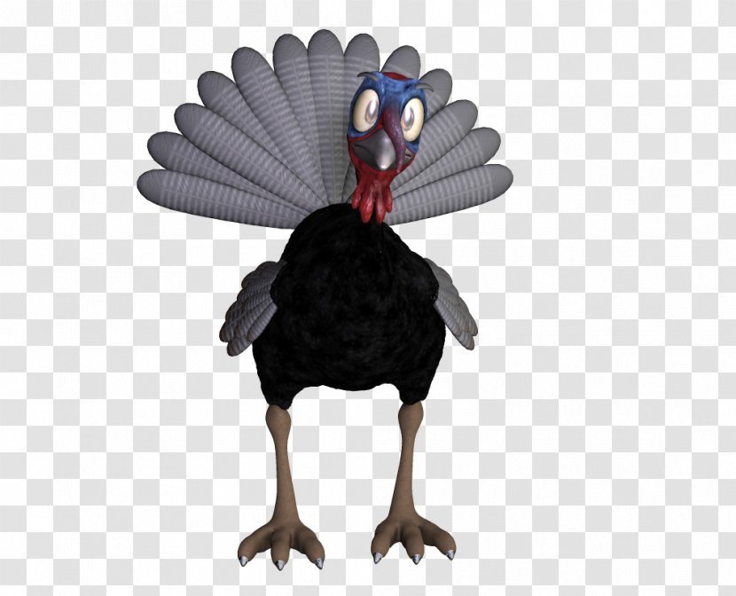 Thanksgiving Turkey Clip Art - Stock Photography - Bird Transparent PNG