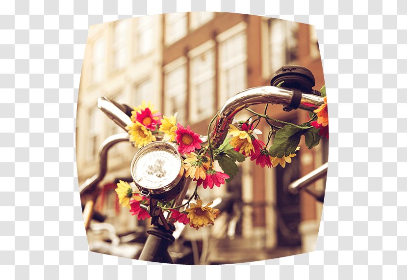 Floral Design Bicycle Bell Stock Photography Royalty-free - Gift Basket Transparent PNG