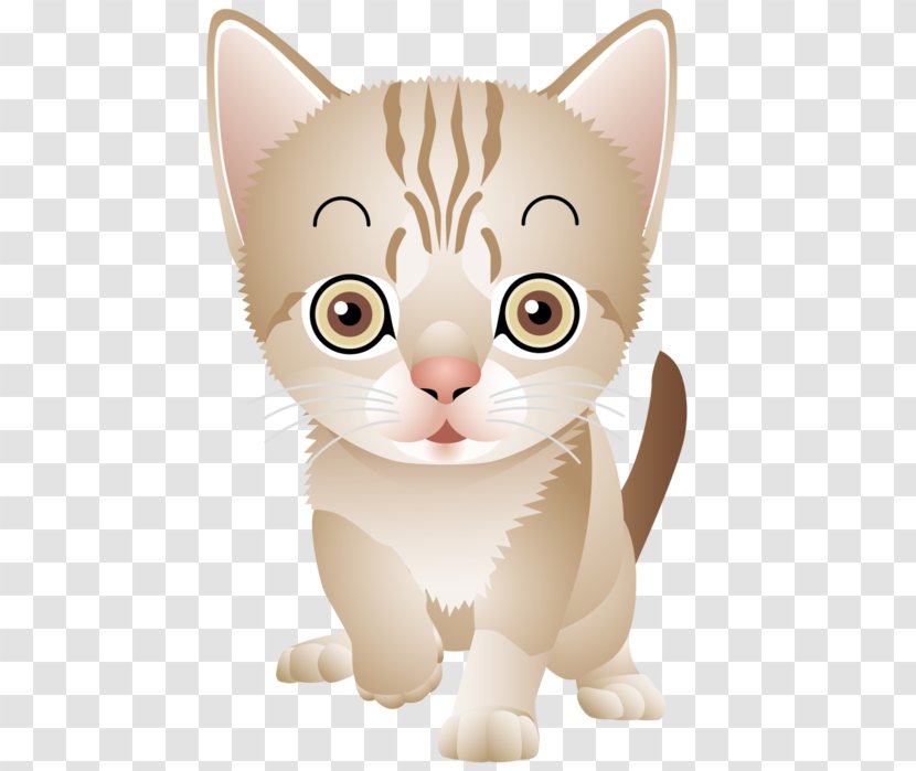 Kitten Whiskers Tabby Cat Domestic Short-haired Egyptian Mau - Vertebrate Transparent PNG