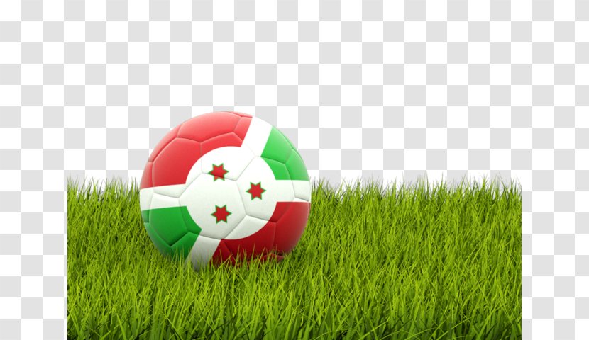 Flag Of Azerbaijan Football Team - Grass Family Transparent PNG