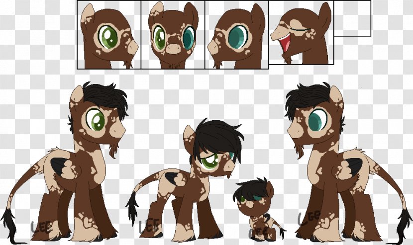 Pony Horse Cat Fiction Transparent PNG