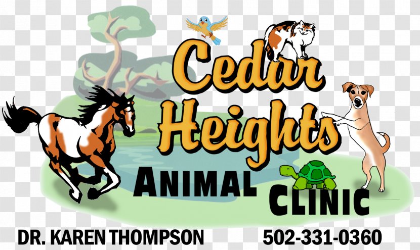 Horse Bardstown Cedar Heights Animal Clinic Hikes Point, Louisville Coxs Creek, Kentucky - Health Transparent PNG