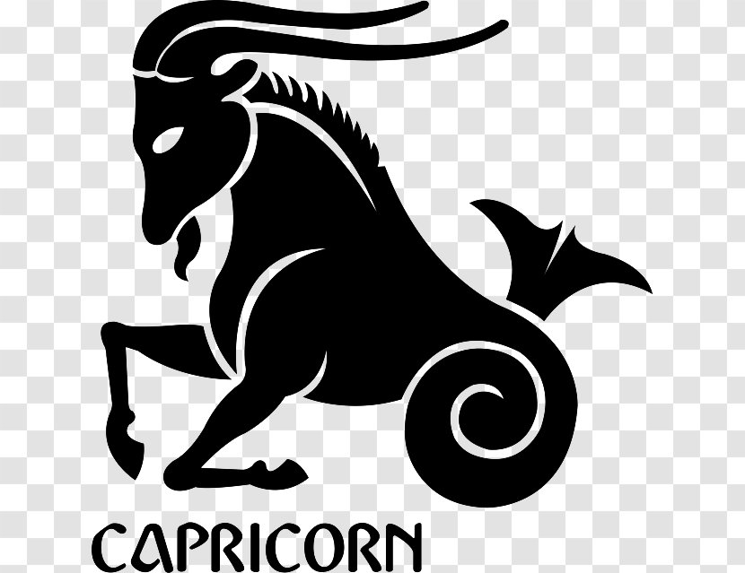 Astrological Sign Capricorn Zodiac Astrology Gemini - Virgo Transparent PNG