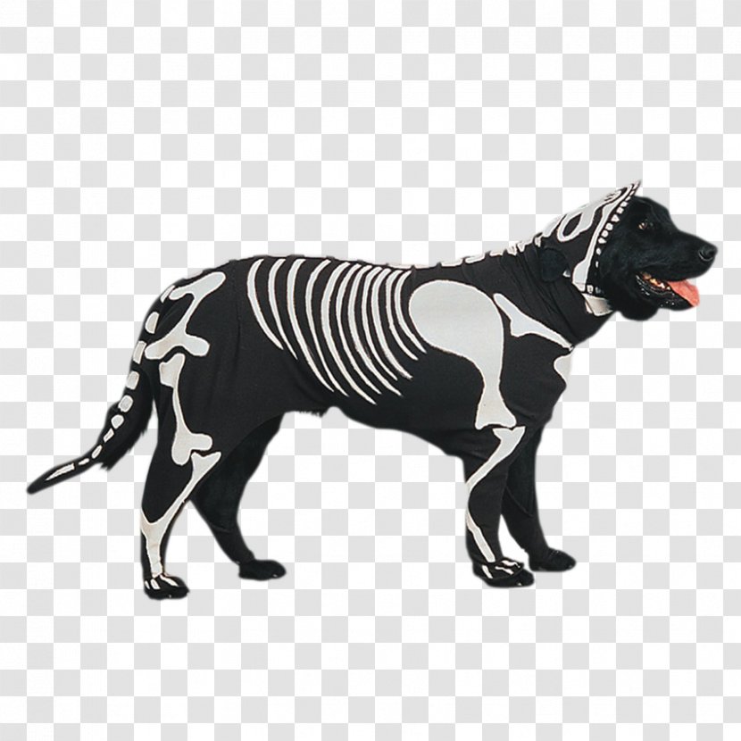 Dog Breed Pet Shih Tzu Costume Halloween - Disguise - 宠物 Transparent PNG