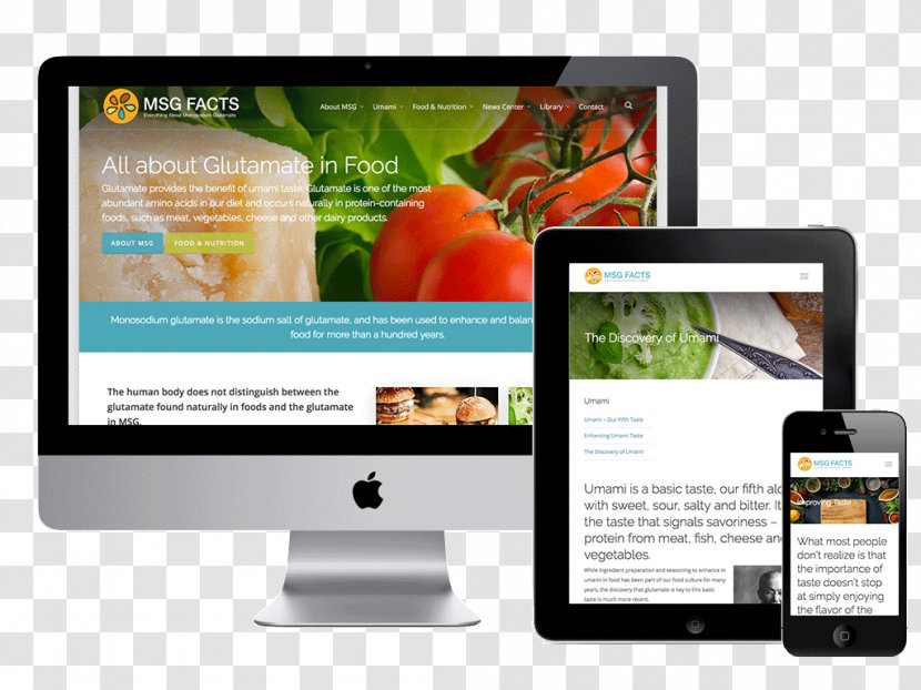 Website Development Responsive Web Design Page WordPress - Business Transparent PNG