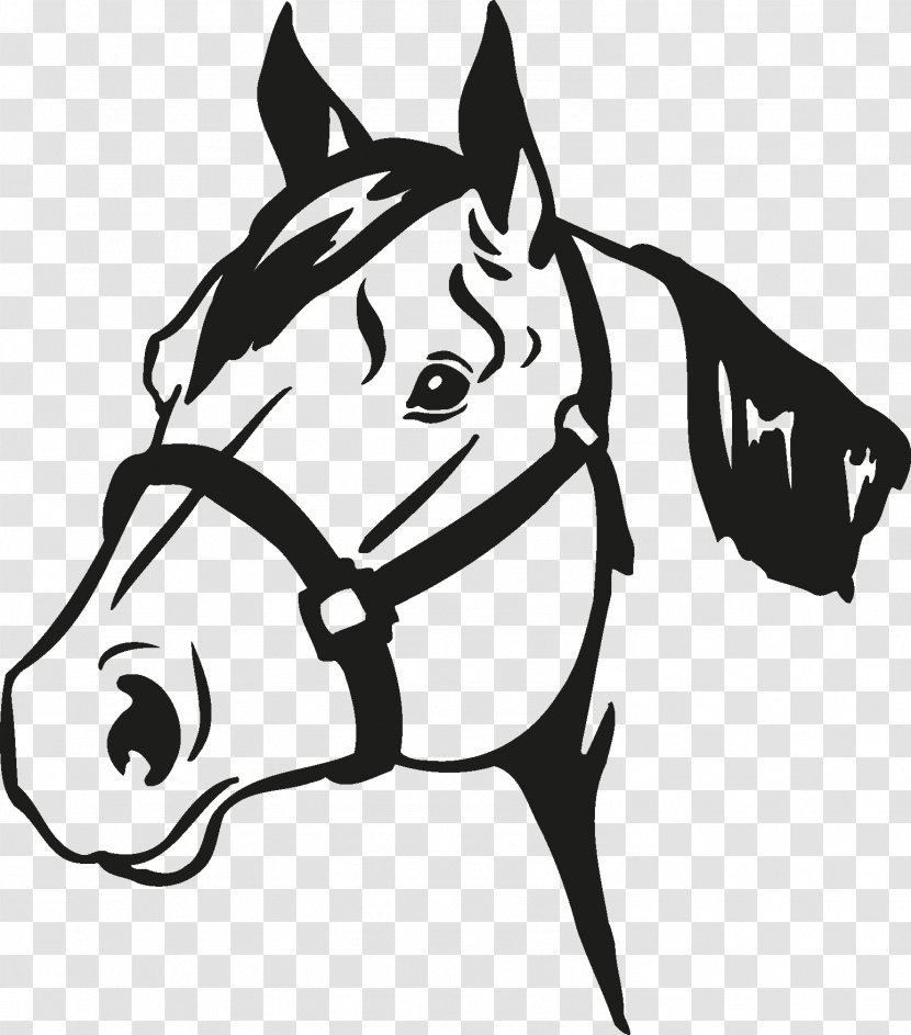 Horse Show 4-H Equestrian Veterinarian - Pony - Head Transparent PNG