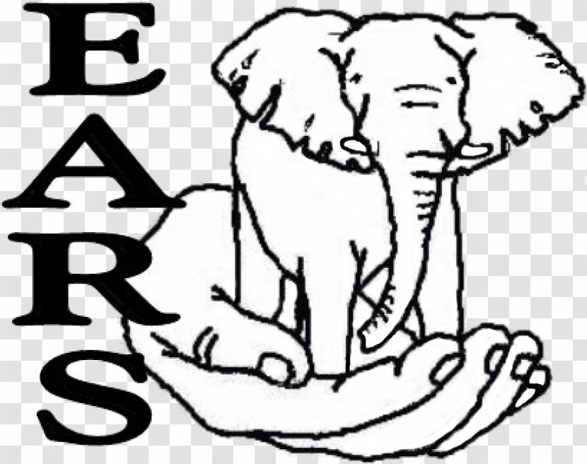 Indian Elephant African Drawing Anniversary Clip Art - Tree - Gift Transparent PNG