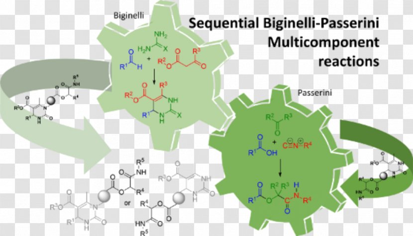 Biginelli Reaction Multi-component Beilstein Journal Of Organic Chemistry Chemical Transparent PNG