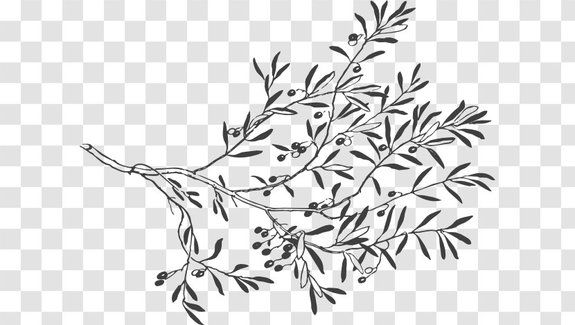 Drawing Branch Breathing Is Overrated Clip Art - Flowering Plant - Leaf Sketch Transparent PNG