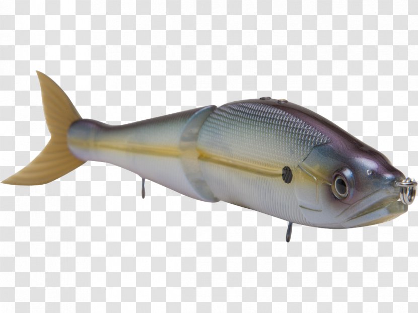 Mackerel Fish Products Milkfish Oily - Bonito - Topwater Fishing Lure Transparent PNG