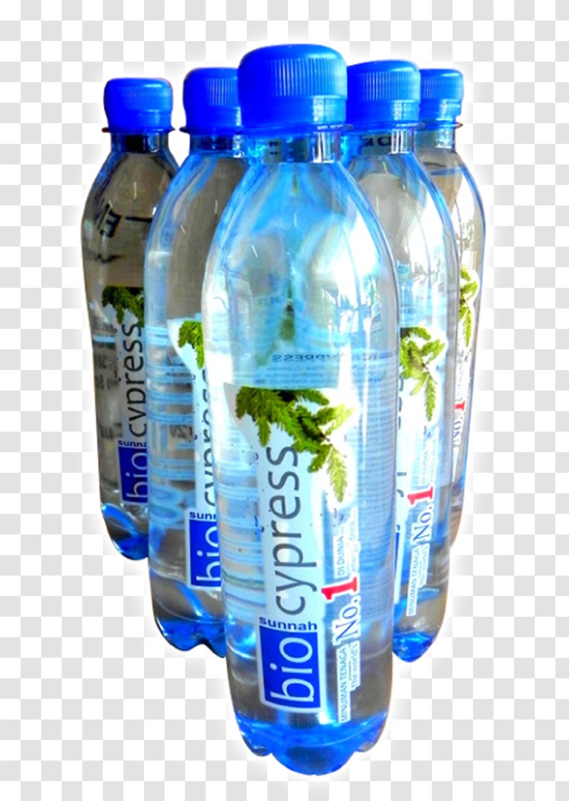 Water Bottles Mineral Plastic Bottle Bottled Transparent PNG