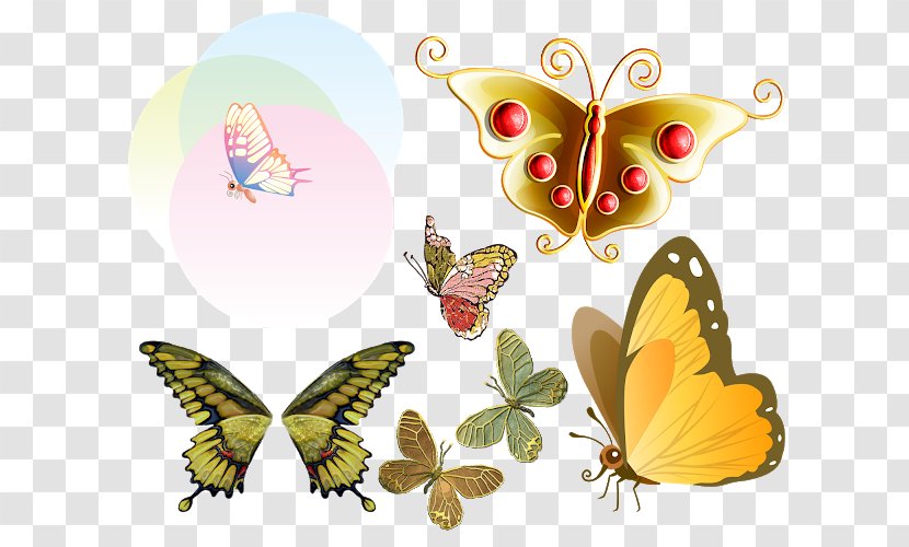 Monarch Butterfly Clip Art Desktop Wallpaper - Moth Transparent PNG