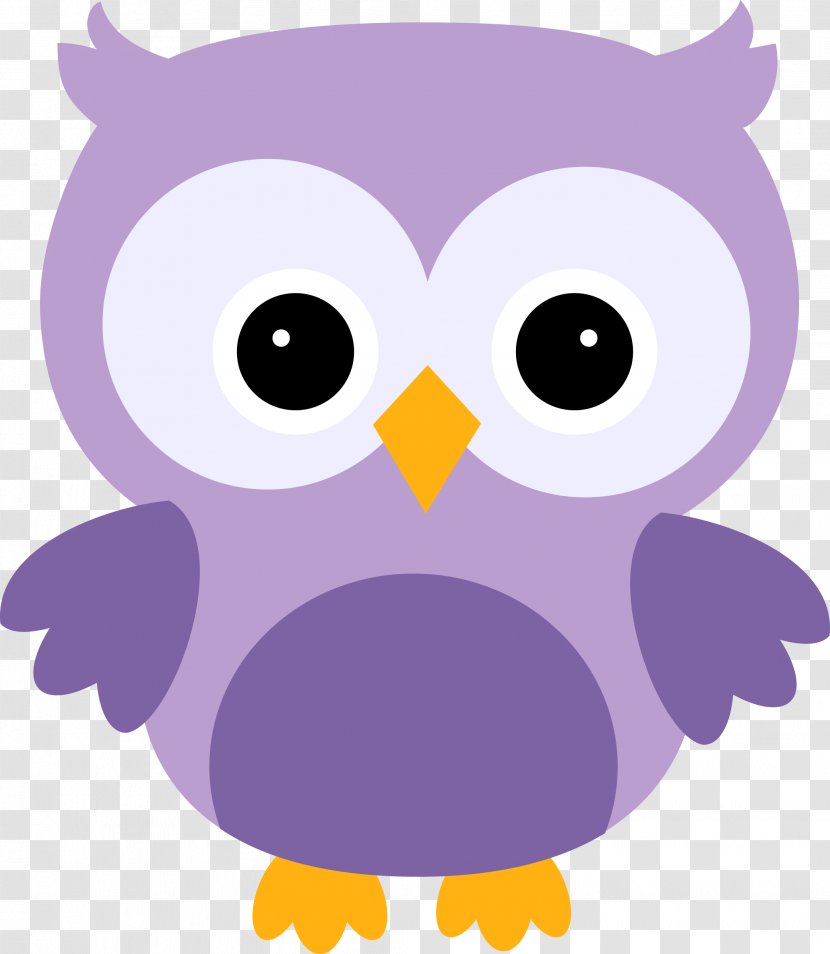 Little Owl Bird Paper - Of Prey Transparent PNG