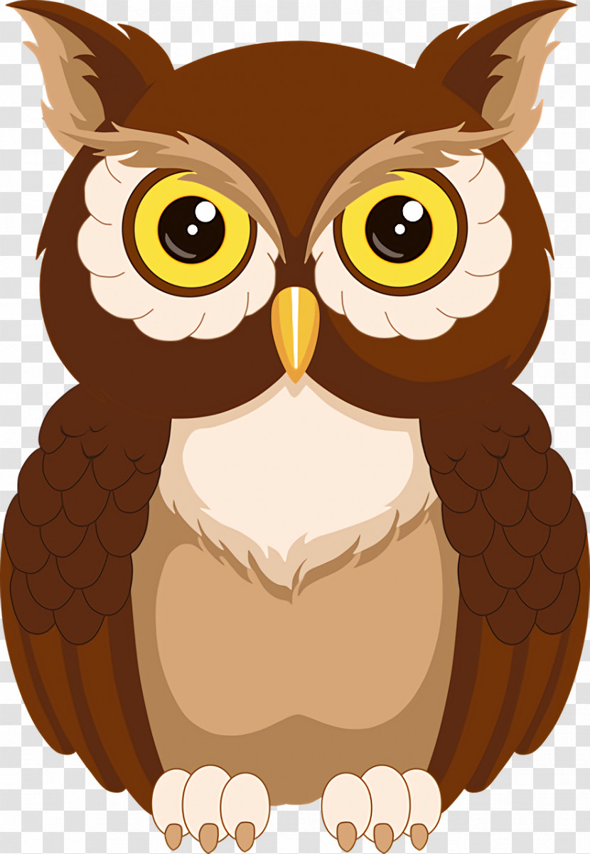 Owls Birds Drawing Owl Cartoon Transparent PNG