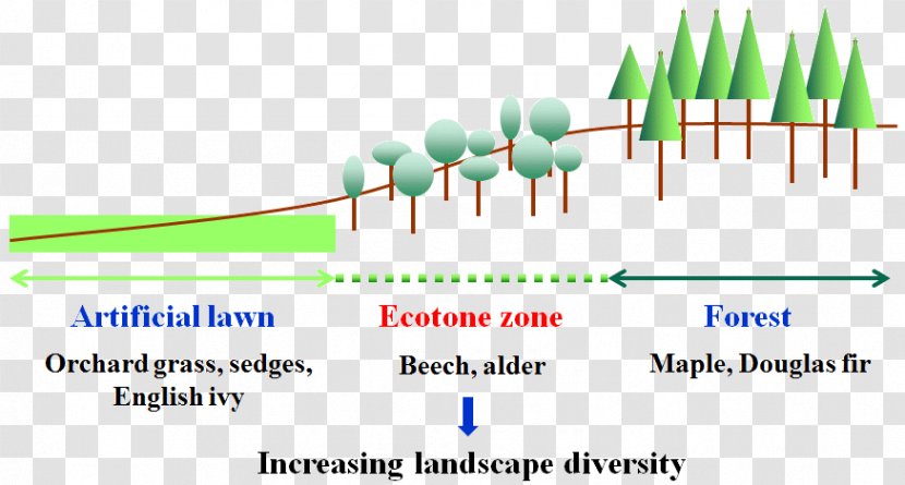 Ecotone Population Ecology Ecosystem Biology - Ecological Information Transparent PNG
