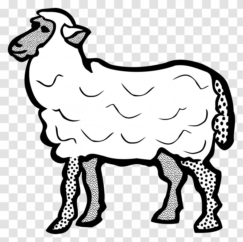 Cotswold Sheep Line Art Drawing Clip - Terrestrial Animal - Cartoon Transparent PNG