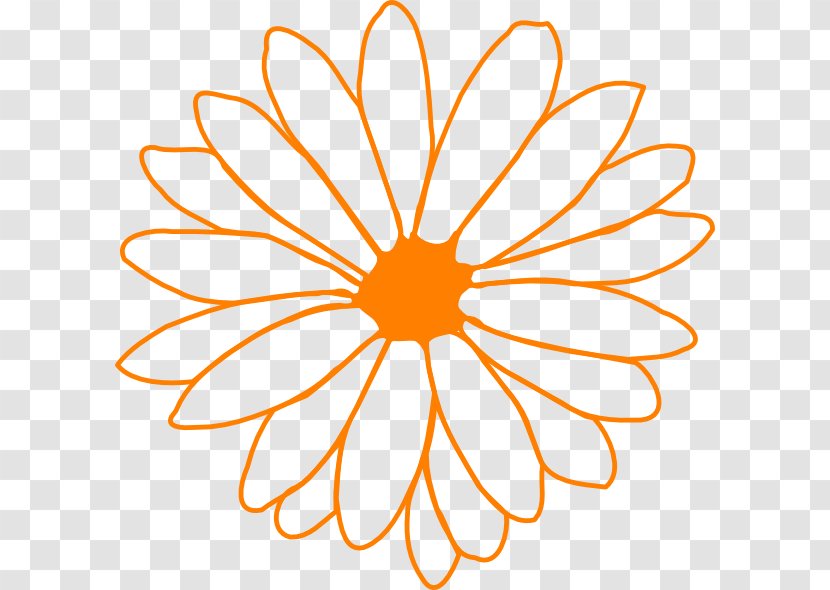 Flower Drawing Common Daisy Clip Art - Organism - Orange Transparent PNG