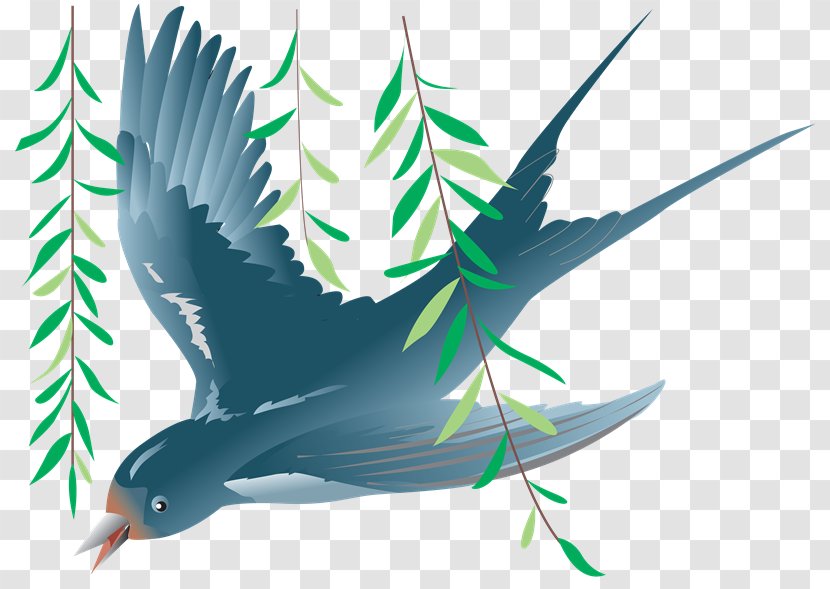 Swallow Clip Art - Water Bird - Aves Transparent PNG