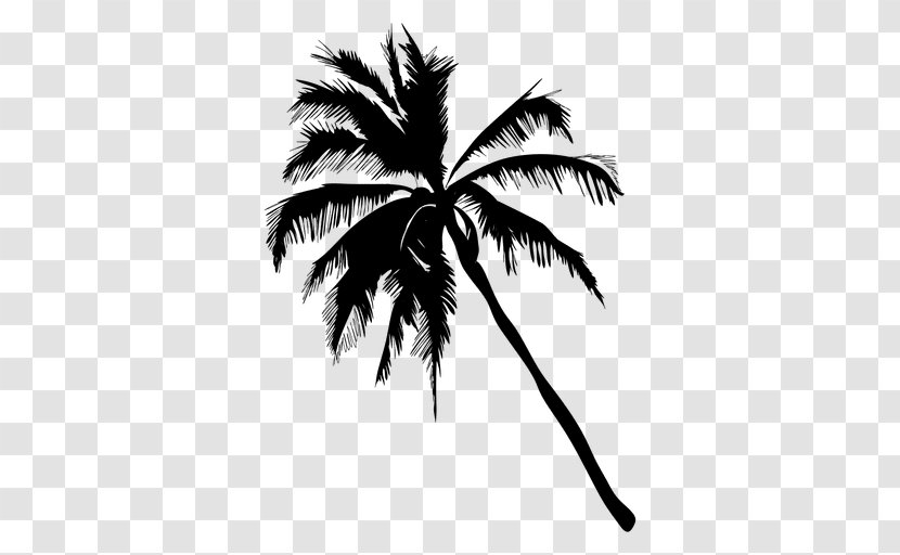 Arecaceae Silhouette - Monochrome - Palm Tree Transparent PNG