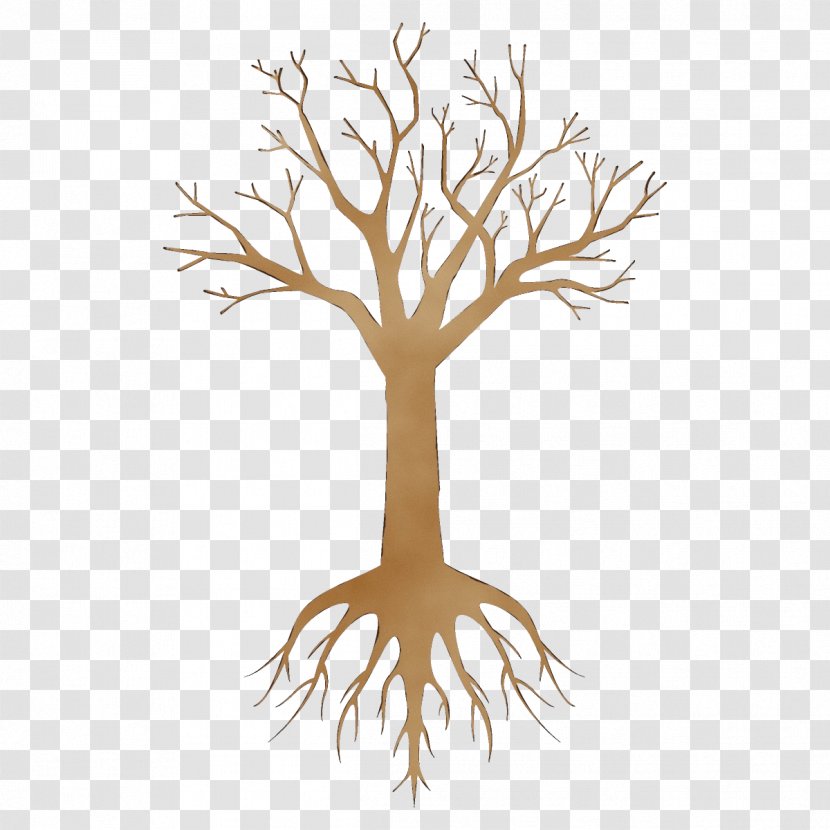 Tree Root Branch Plant Leaf - Twig Grass Transparent PNG