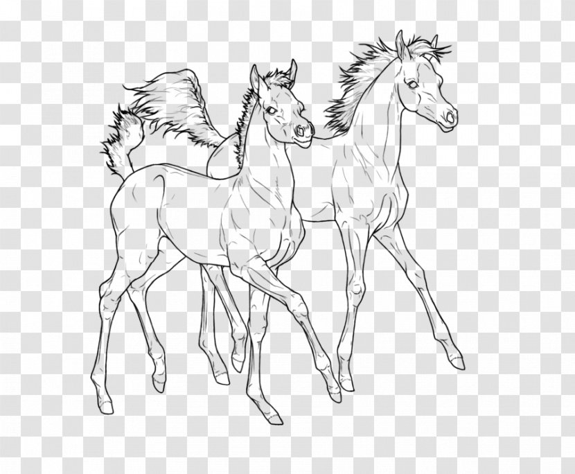 Foal Line Art Colt Arabian Horse Pony - Arab Dress Transparent PNG