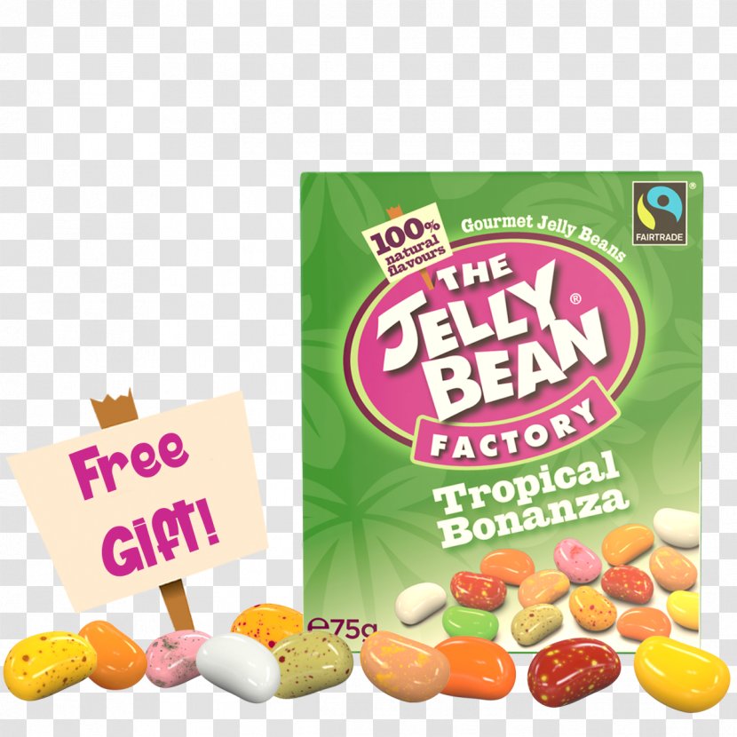 Gummi Candy Gumdrop Gelatin Dessert Gummy Bear Jelly Bean - Marmalade Transparent PNG