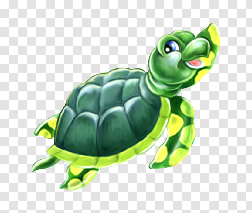 Sea Turtle Background - Green - Animal Figure Pond Transparent PNG