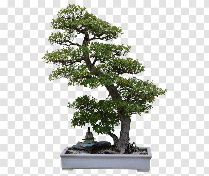 Art Surrealism Creativity Idea - Painting - Bonsai Transparent PNG