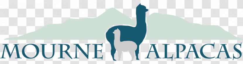 Alpaca Logo Mourne Mountains Llama Brand - Ireland - Herd Transparent PNG