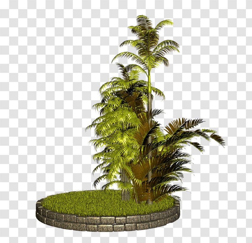 Arecaceae Flowerpot Houseplant Tree Clip Art - PALMERAS Transparent PNG