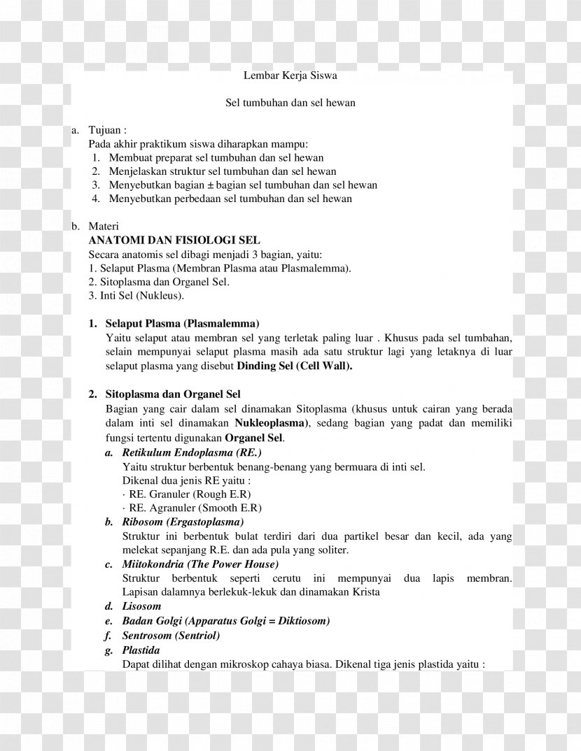 Henry's - Document - Waterloo Renting Contract MeetingSiswa Transparent PNG