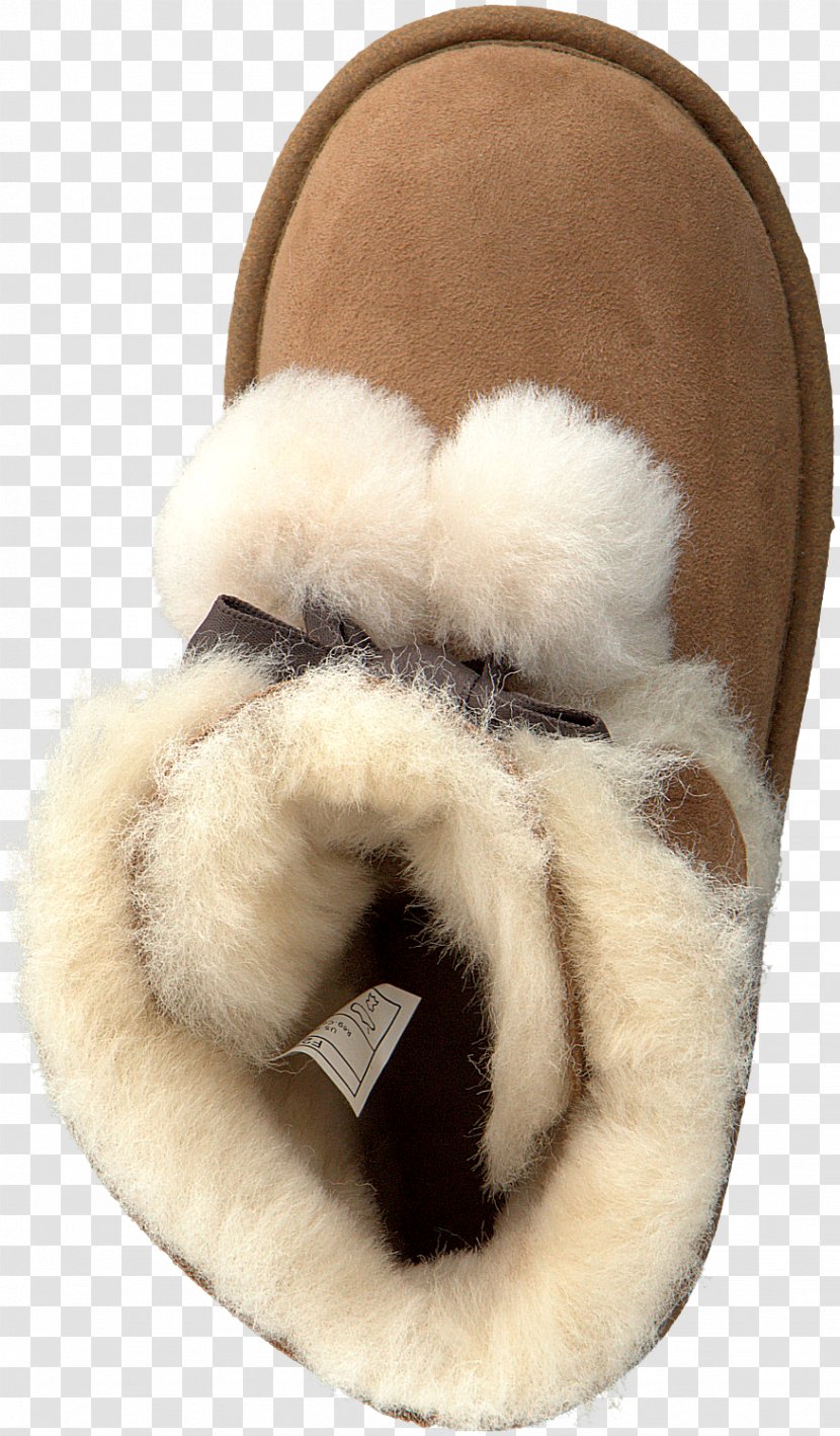 Slipper Fur Clothing Wool - Shoe Transparent PNG