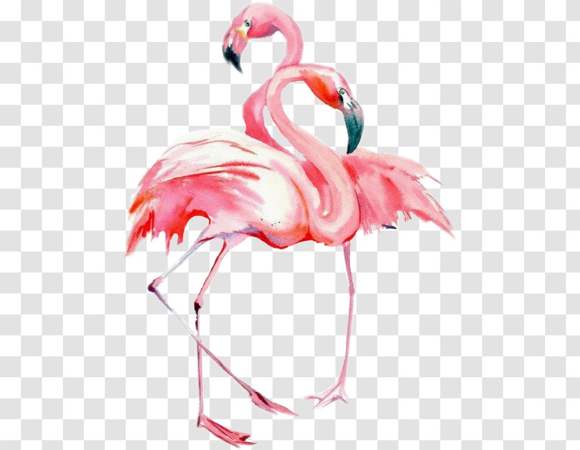 Bird Watercolor Painting Drawing Flamingos - Art Transparent PNG