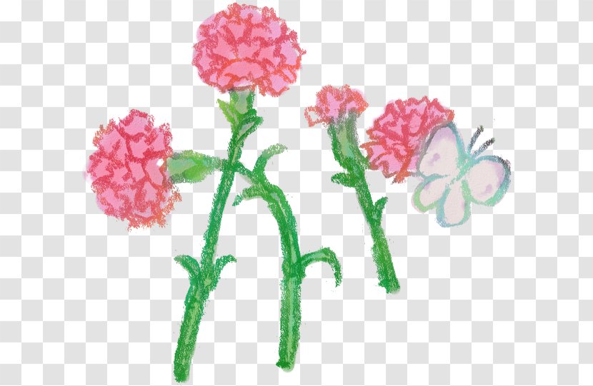 Carnation Cut Flowers Book Illustration - Head Teacher - Flower Transparent PNG