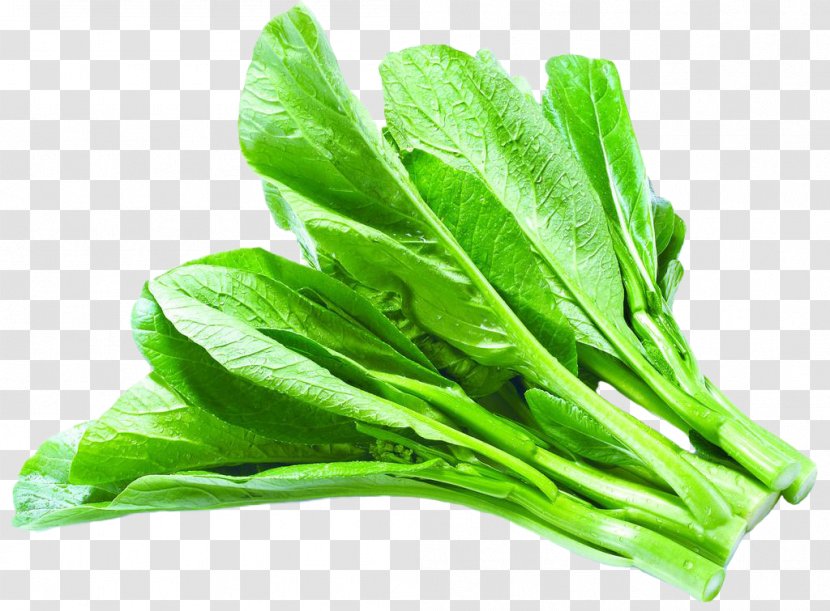 Asian Cuisine Leaf Vegetable Chinese Cabbage - Lettuce - Vegetables Transparent PNG