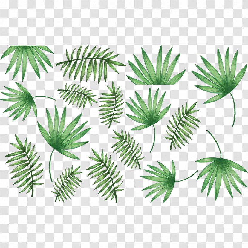 Arecaceae Palm Branch Leaf Sticker Wall Decal Transparent PNG